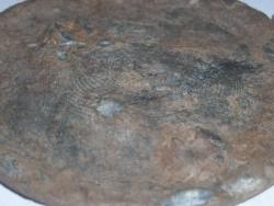 post-32264-0-95874700-1414775594_thumb.j