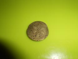 post-32293-0-37430200-1413542439_thumb.j