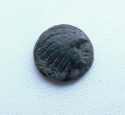 post-32294-0-06435500-1414241406_thumb.j