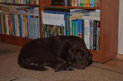 post-4485-0-89191900-1413392005_thumb.jp