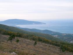 post-4489-0-19519500-1414612735_thumb.jp