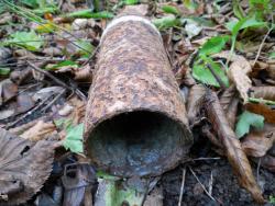 post-4489-0-22232500-1414612843_thumb.jp