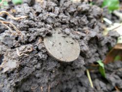 post-4489-0-24759000-1414613009_thumb.jp