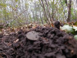 post-4489-0-31084100-1414613095_thumb.jp