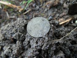 post-4489-0-36289900-1414613055_thumb.jp