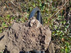 post-4489-0-72265100-1414613469_thumb.jp