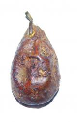 post-5773-0-28468300-1413736925_thumb.jp