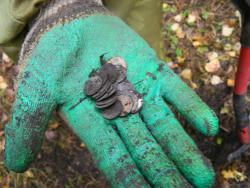 post-8095-0-09861700-1413309481_thumb.jp