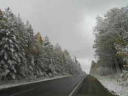 post-8095-0-17972600-1412521336_thumb.jp