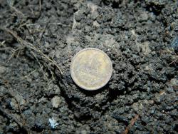 post-8095-0-28482600-1413444417_thumb.jp