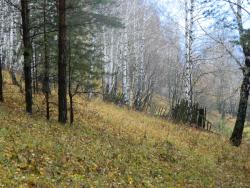 post-8095-0-51288500-1413309596_thumb.jp