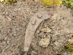 post-8095-0-80421500-1413444009_thumb.jp