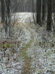 post-8095-0-99748800-1413444537_thumb.jp