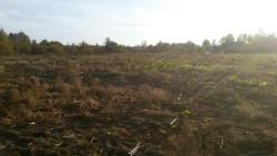 post-12303-0-68056600-1444064760_thumb.j