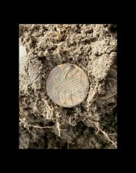 post-12303-0-92749000-1444502406_thumb.j