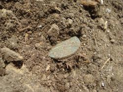 post-12373-0-86274200-1443895972_thumb.j