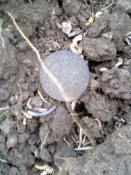 post-17557-0-05682200-1446144983_thumb.j