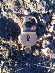 post-17557-0-28708000-1444753726_thumb.j