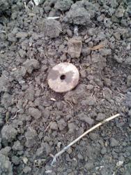 post-17557-0-37050600-1446145142_thumb.j