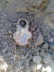 post-17557-0-41555400-1444752882_thumb.j