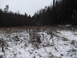 post-26744-0-08376200-1445861242_thumb.j