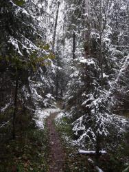 post-26744-0-66094300-1445861381_thumb.j