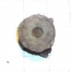 post-26744-0-78550800-1445847215_thumb.j