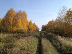 post-2817-0-42768500-1444893848_thumb.jp