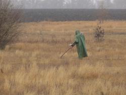 post-29766-0-54500500-1445875962_thumb.j