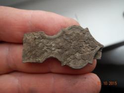 post-30211-0-85850400-1446084063_thumb.j