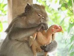 post-31368-0-67801200-1446054823_thumb.j