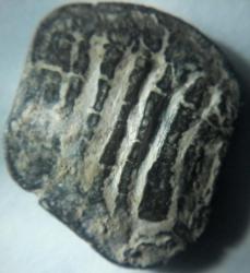 post-31442-0-49684100-1444742965_thumb.j