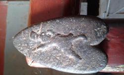 post-31735-0-95692400-1446033172_thumb.j