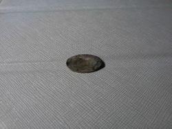 post-31965-0-50241400-1445513606_thumb.j