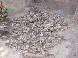 post-32722-0-27785100-1445588310_thumb.j