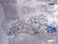 post-32722-0-81467700-1445611242_thumb.j