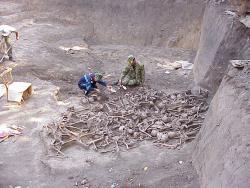 post-32722-0-85894300-1445588325_thumb.j