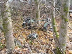 post-32874-0-52976600-1445975501_thumb.j