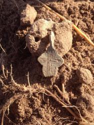 post-33129-0-12112700-1445432008_thumb.j