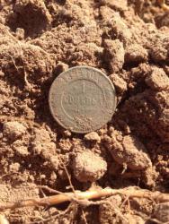 post-33129-0-25329800-1445431946_thumb.j