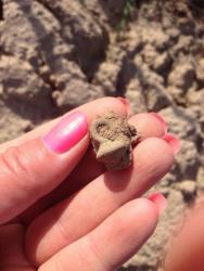 post-33129-0-40576200-1446108089_thumb.j