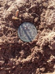 post-33129-0-58656800-1445431992_thumb.j