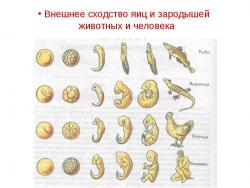 post-33353-0-74435600-1445278744_thumb.j