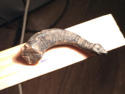 post-34042-0-15657500-1444765858_thumb.j