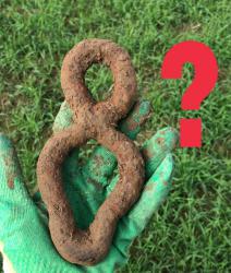 post-34042-0-25932500-1443732869_thumb.j