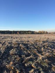 post-34042-0-63645300-1445452765_thumb.j