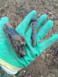 post-34042-0-63842800-1445787495_thumb.j