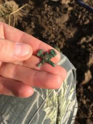 post-34042-0-74557100-1443732470_thumb.j