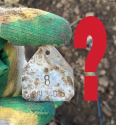 post-34042-0-96550400-1443732861_thumb.j