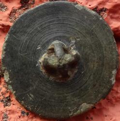 post-34830-0-67407500-1444039953_thumb.j